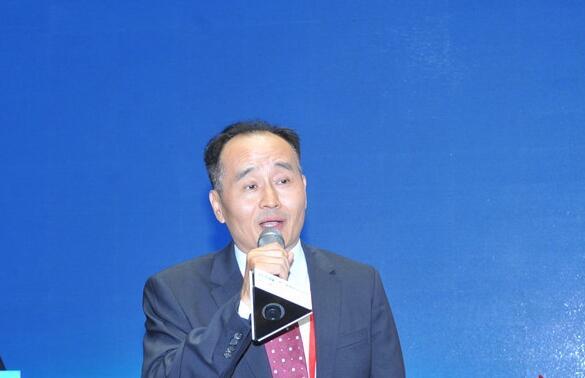 《中国经济周刊》总编辑季晓磊发言