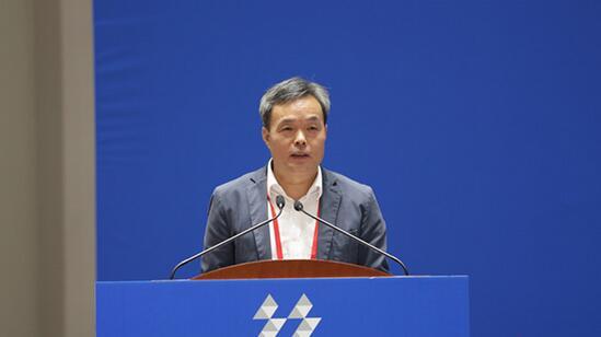 著名文物学家、考古学家、国家文物局党组成员、副局长宋新潮（人民网 王子侯摄）