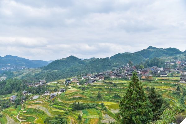 龙塘村全景